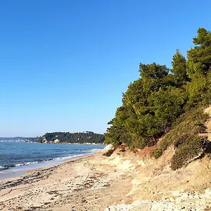 https://acrogiali-sunshine.hotelschalkidiki.net